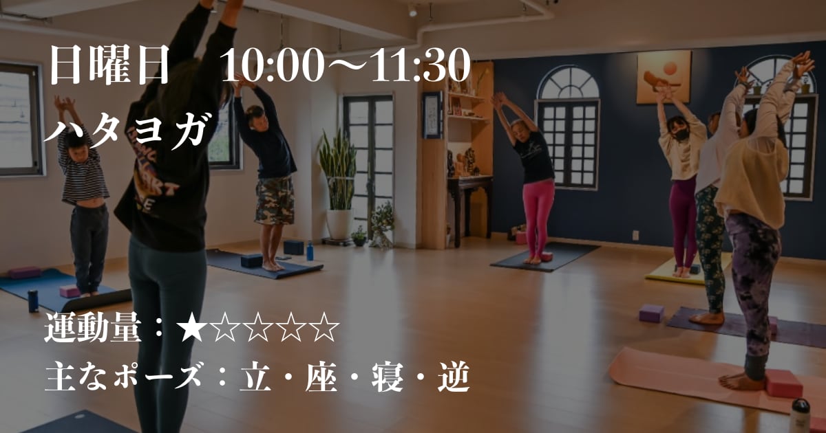 日曜日、YUKAKO先生のハタヨガ