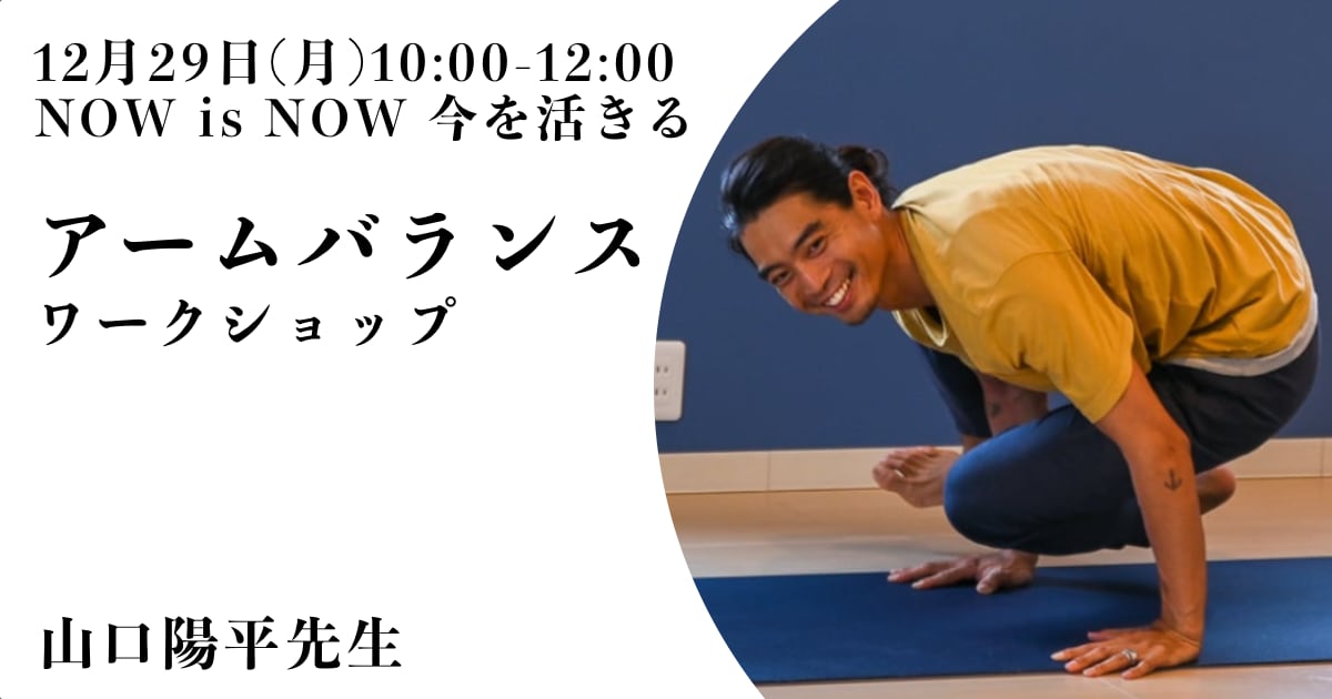 山口陽平先生のアームバランスワーカショップ