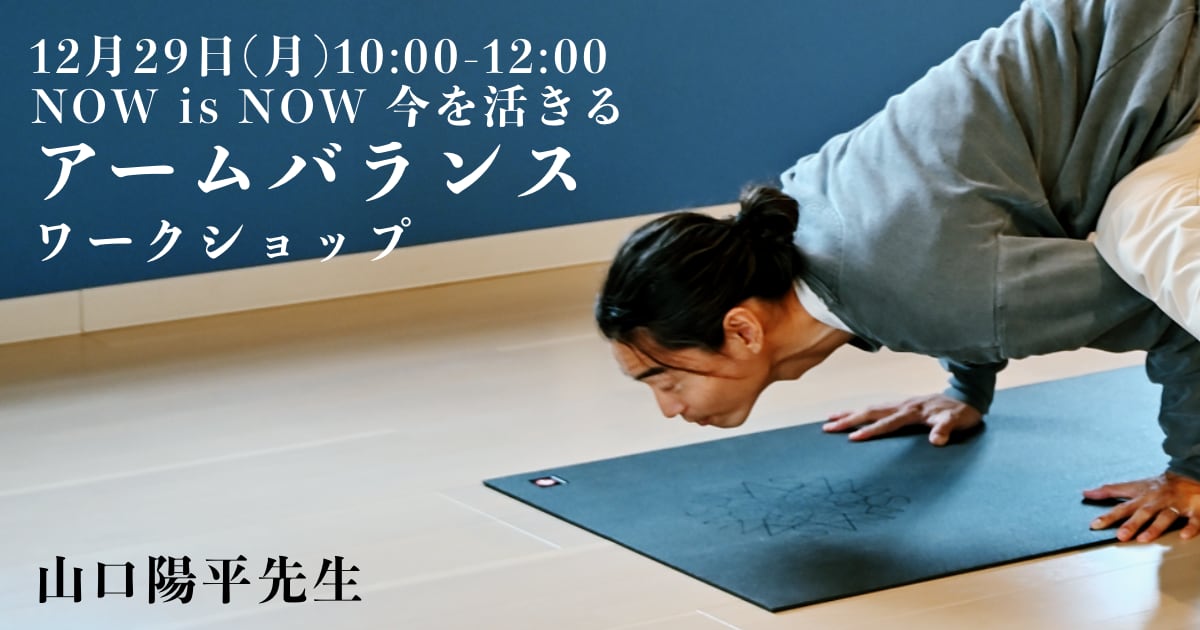 山口陽平先生のアームバランスワークショップ