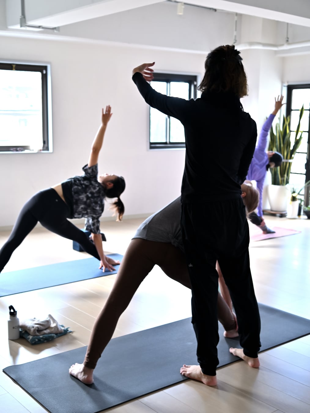 火曜日、Mohini先生のハタアライメント