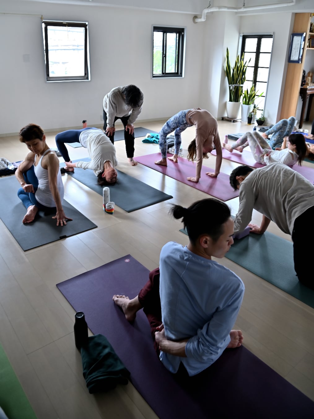 水曜日、kazuya先生のアサナマンダラベーシック